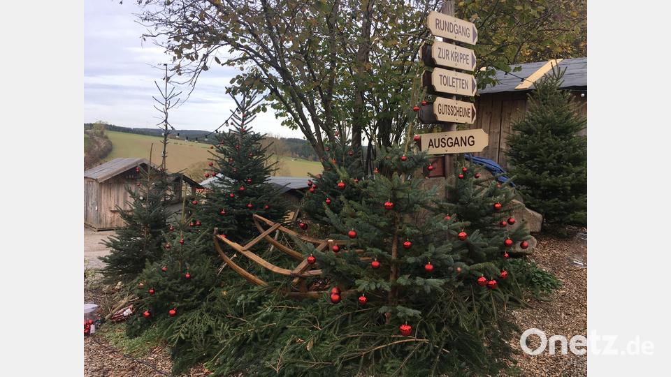 Die ersten Christbäume sind geschmückt. Der Holzschlitten vervollständigt die Szene. Bild: ihl