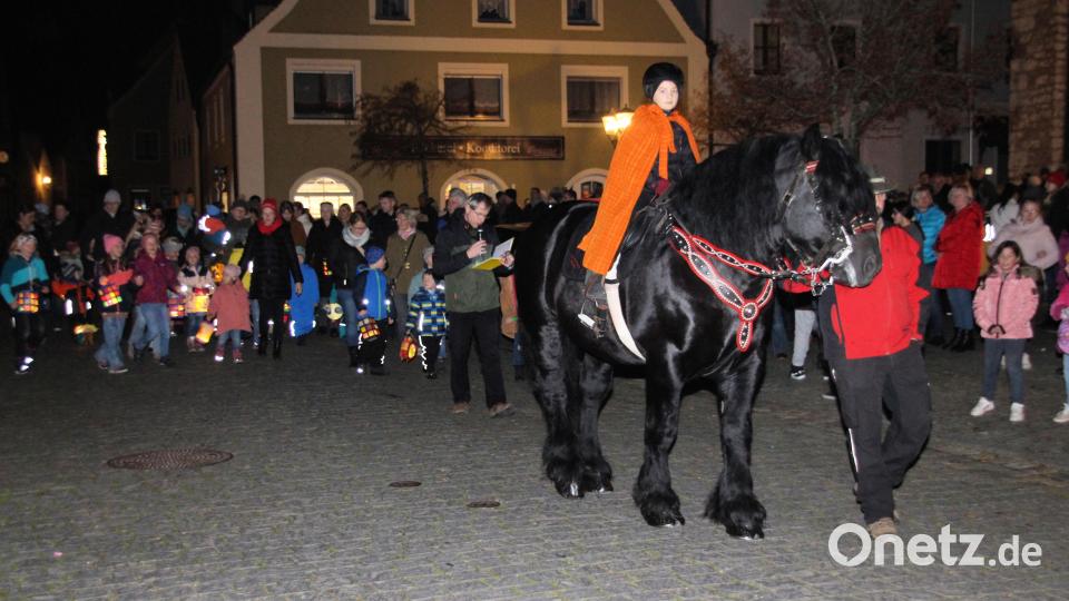 Auch in Schmidmühlen gab es einen Martinszug. Bild: bjo