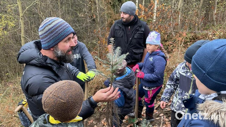 Die Windischeschenbacher Pfadfinder pflanzen 150 Setzlinge mit Amtsförster Andreas Arnold. Bild: wrm