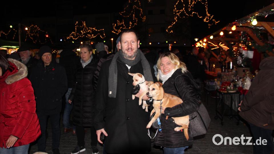 Auch den Hunden gefällt es auf dem 34. Adventsmarkt in Wiesau. Bild: kro