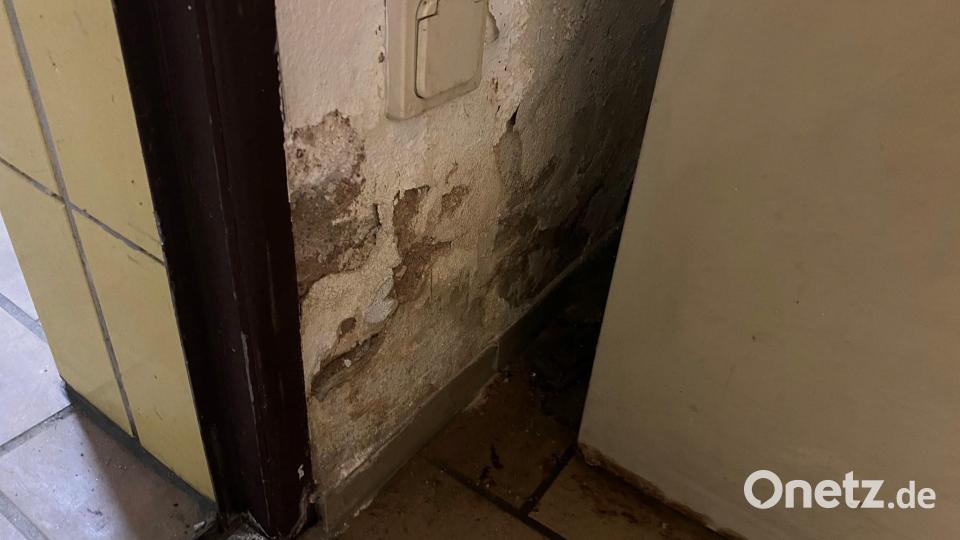 Im Feuerwehrhaus in Neustadt/WN bröckelt der Putz. Bild: exb/Feuerwehr Neustadt