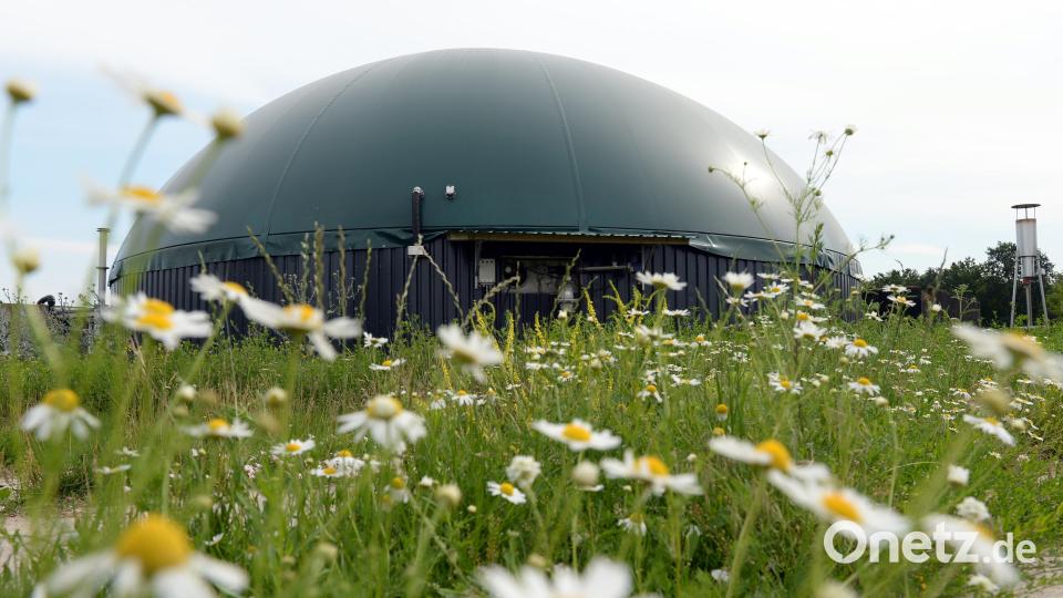 Biogasanlagen sind eine wichtige Wirtschaftskraft in der Region. Betreiber fordern im Gespräch mit Bundestagsabgeordnetem Albert Rupprecht verlässliche Rahmenbedingungen. Symbolbild: Maurizio Gambarini/dpa