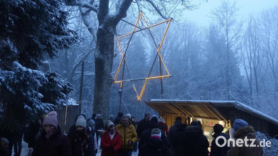 Hell leuchtet der Stern am Wochenende über dem verschneiten Grenzwald am Eulenberg bei Schönsee. Bild: mmj