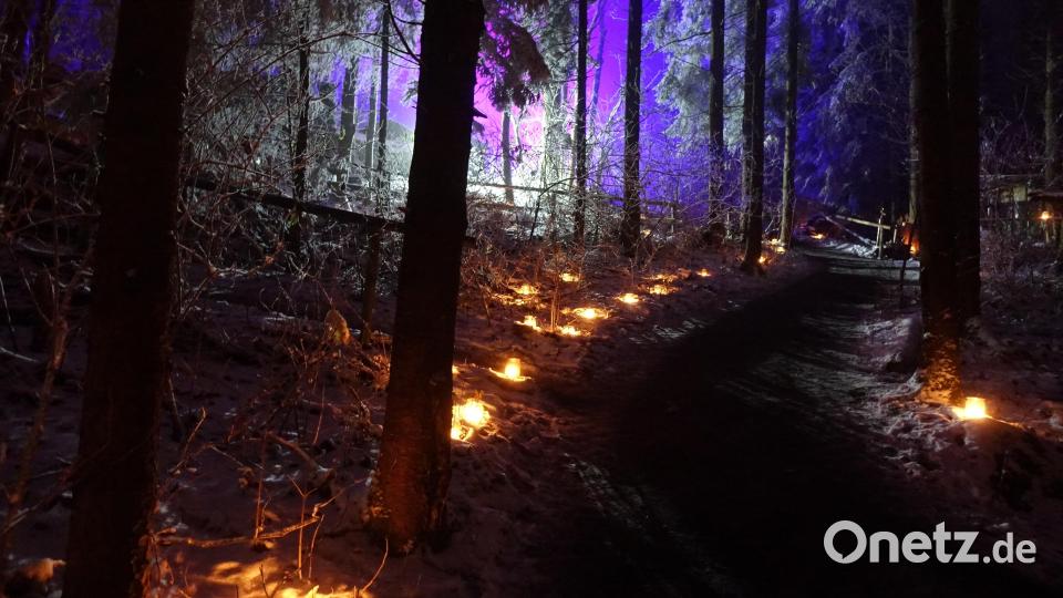 Advent im Wald am Eulenberg Bild: mmj