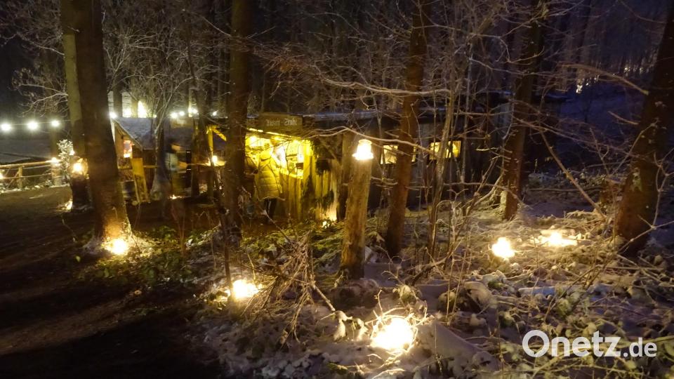 Heimeliges Licht im Grenzwald Bild: mmj