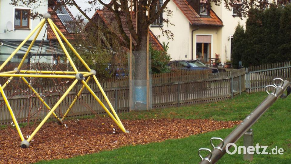Um diesen Baum auf dem Spielplatz in Theuern geht es: Er ist schon zum zweiten Mal schwer beschädigt worden Bild: e
