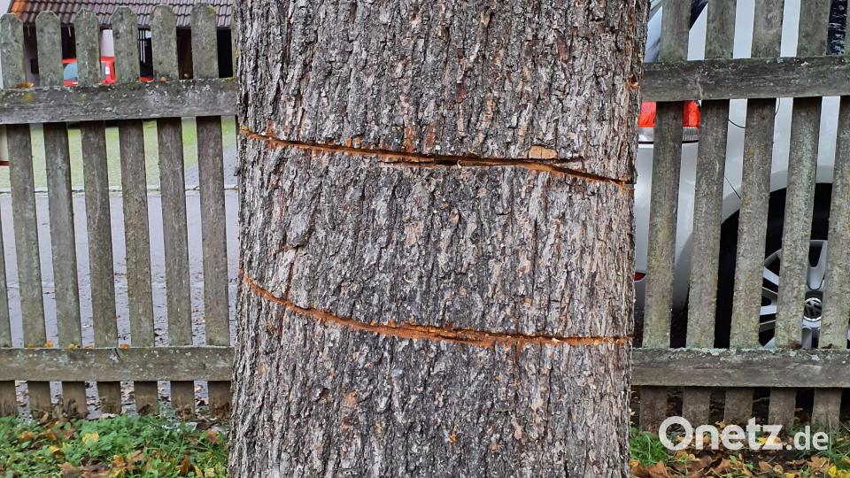 Inzwischen ist auch die Polizei eingeschaltet. Bild: e