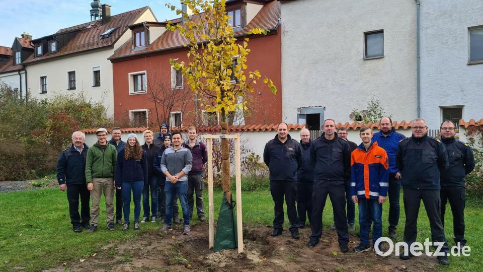In Hirschau konnte man den Musterbaum für den Inspektionsbereich III pflanzen. Bild: egl