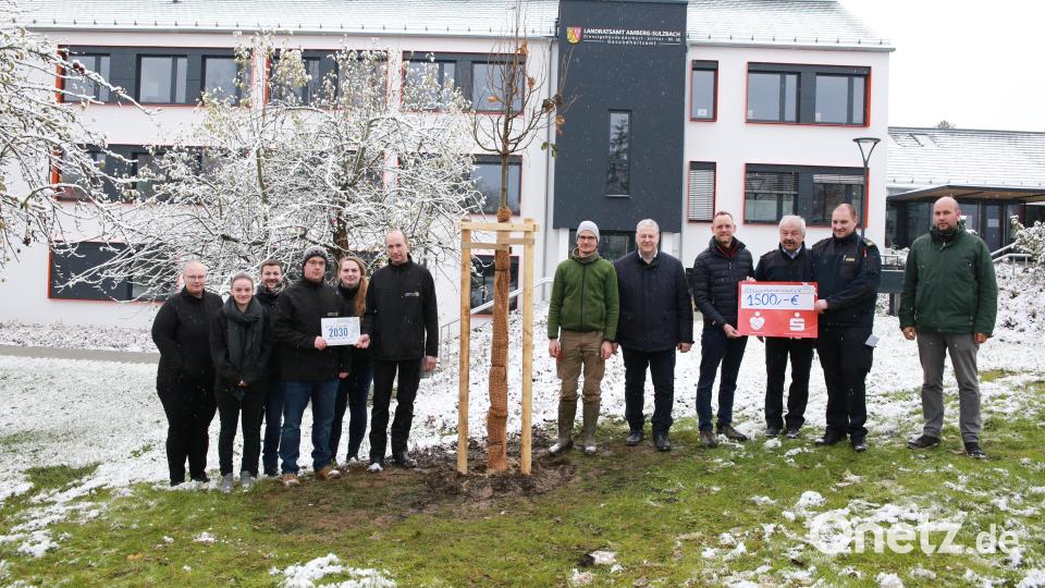 Am neuen Gesundheitsamt in Amberg pflanzte der Ausschuss der Kreisjugendfeuerwehr Amberg-Sulzbach zusammen mit Landrat Richard Reisinger einen Baum. Die Sparkasse Amberg-Sulzbach übergab dabei eine Spende von 1500 Euro. Bild: egl