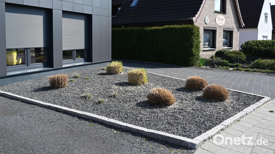 Karge Büschel zwischen grauen Kieselsteinen: Stein-Vorgärten bieten keinen Lebensraum für Tiere, Wasser kann schlecht abfließen. Auch in Sulzbach-Rosenberg gibt es diese Art der Gartengestaltung immer mehr – um niemanden an den Pranger zu stellen, wurde hier zur Illustration ein anonymes Symbolbild verwendet. Bild: Carmen Jaspersen/dpa
