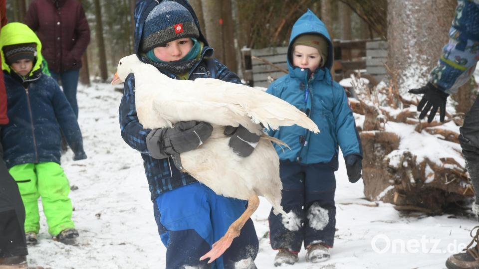 Einmal pro Woche kommt Quirin mit Ariane in den Waldkindergarten. Bild: Gabi Schönberger