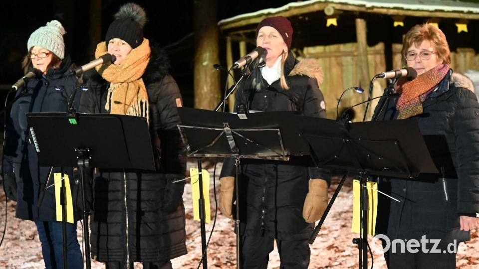 Ein Quartett vom Chor „Ocarina“ aus Hahnbach. Bild: gf