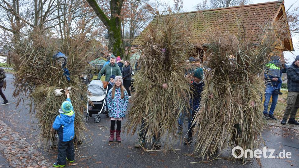 Schilf- und Strohspechte zogen an Heiligabend über den Dorfanger in Pleußen. Erwartet worden waren sie von zahlreichen Schaulustigen. Bild: jr