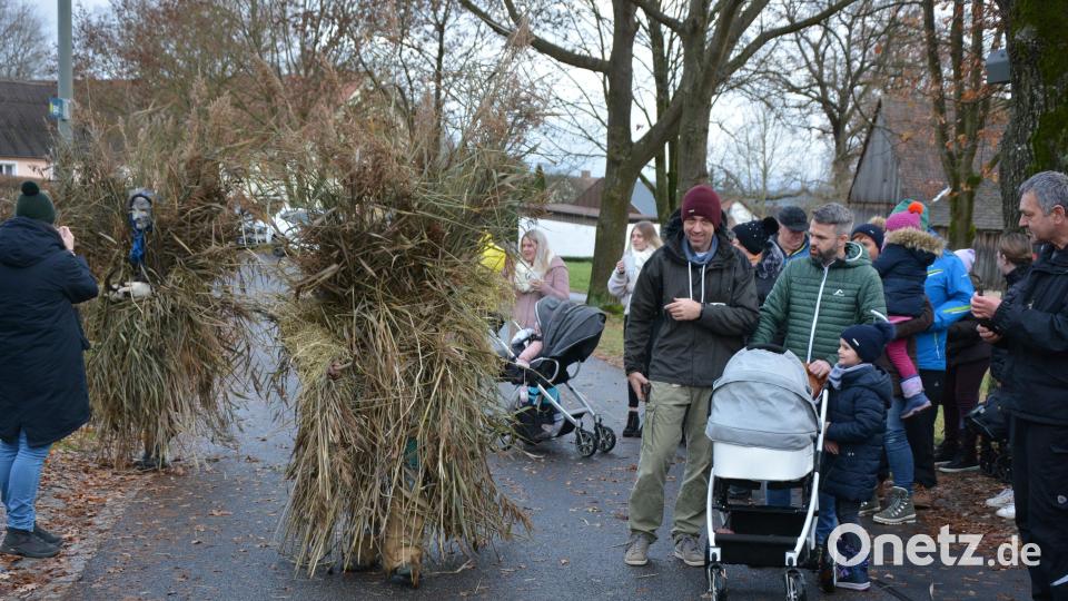 Schilf- und Strohspechte zogen an Heiligabend über den Dorfanger in Pleußen. Erwartet worden waren sie von zahlreichen Schaulustigen. Bild: jr