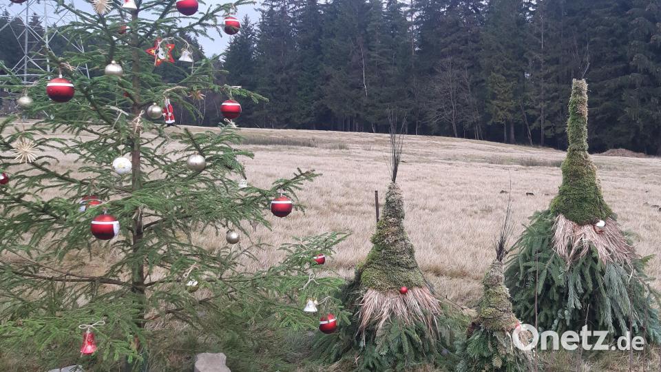 Magische Waldgeister sind am Wegesrand zu sehen. Bild: gis