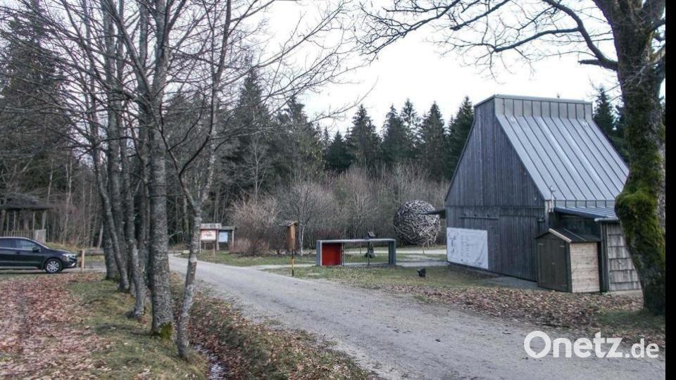 Am Neujahrstag 2023 sah es am Waldhaus Mehlmeisel eher nach Frühling als nach Winter aus. Bild: Josef Wiche