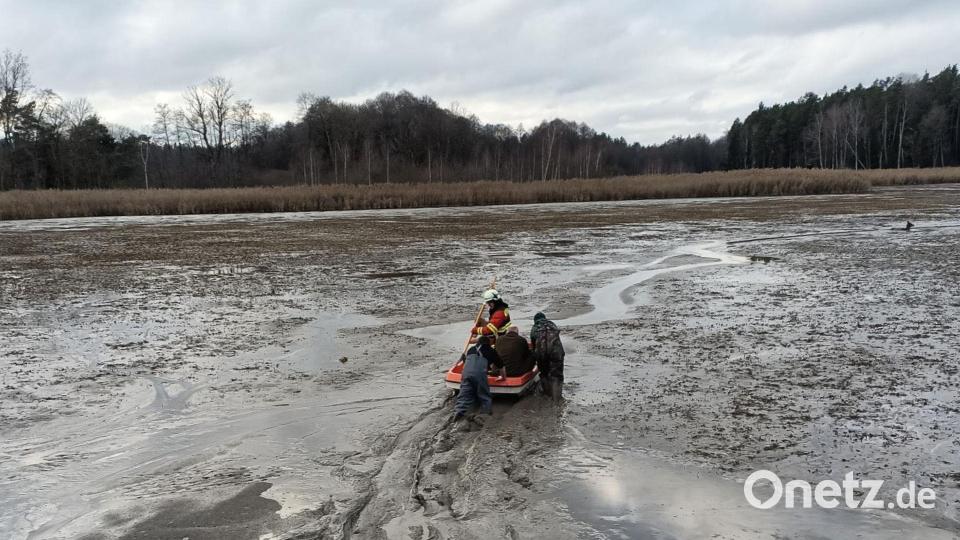 Mit einem Boot machten sich die Helfer zu versunkenen Hirschkuh (rechts oben am Bildrand) auf. Bild: Julian Götz