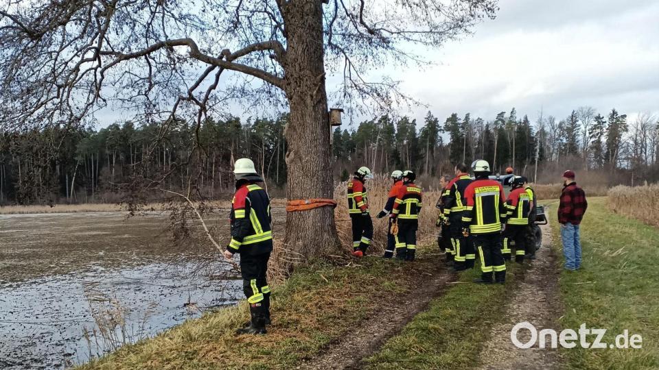 Feuerwehreinsatz am Weiherdamm: Helfer bei der Wildtierrettung. Bild: Julian Götz