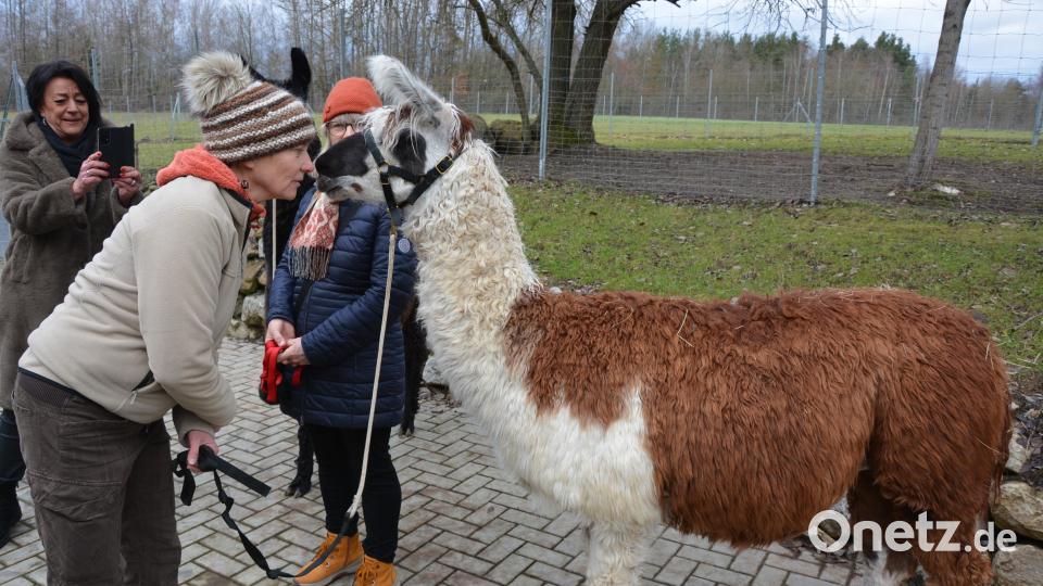 Jutta Fischer mit Lama „Richard“. Bild: jr
