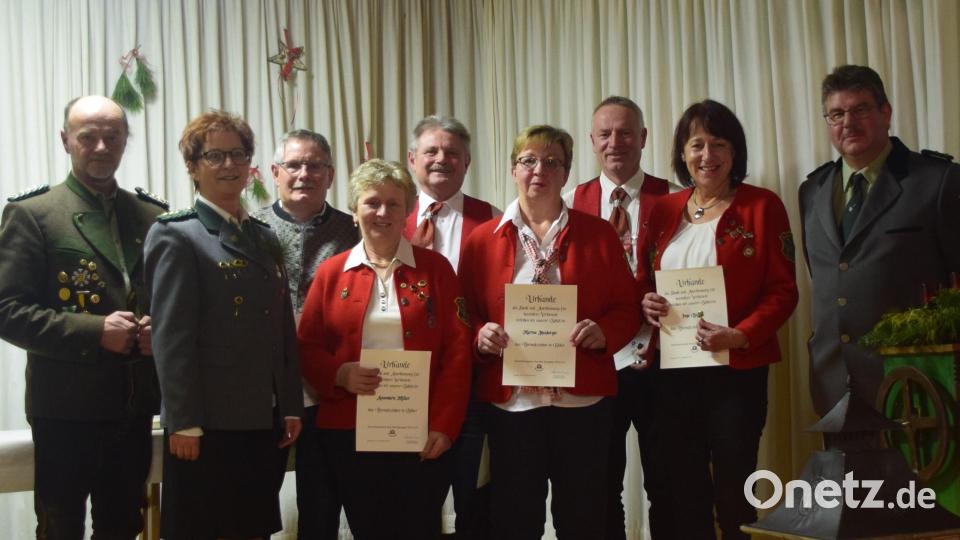 Verleihung des Silbernen Ehrenzeichens (von links): Werner Wendl, Annette Rauscher, Karl-Heinz Weiß, Annemarie Müller, Manfred Siegert, Marina Heuberger, Christian Schwirzer sen., Inge Siegert und Johannes Rupprecht. Bild: Karl-Heinz Weiß, Martin Peter/exb