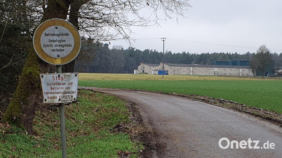 In einem Betrieb im Markt Bruck ist die Vogelgrippe festgestellt worden. Bild: Hösamer