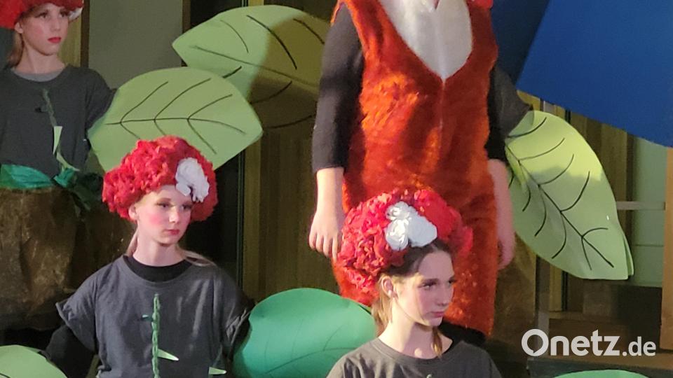 Theateraufführung "Der kleine Prinz" Bild: Nadine Neuwirth./exb