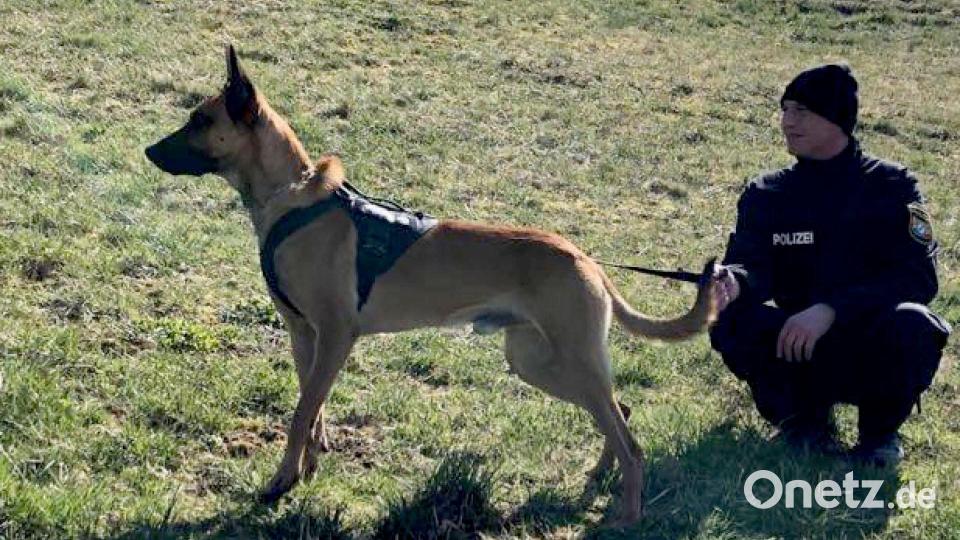 Enrico Lauer und Melvin. Bild: Polizei Marktredwitz