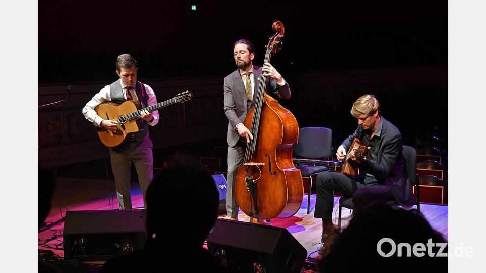 Das Diknu-Schneeberger-Trio spielte im Amberger Stadttheater gekonnt auf. Bild: Petra Hartl