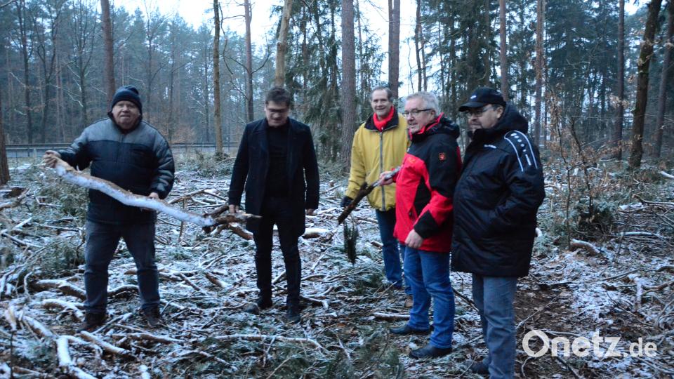 Herbert Hammer und Gerald Bolleininger von der SPD zeigen den Verantwortlichen der Stadt die letzten Überbleibsel eines Waldgebietes, das bisher 400 Bürgern als Lärm- und Sichtschutz diente. Bild: Kunz