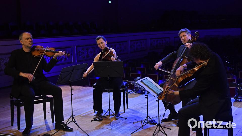 Das Signum Quartett hat das Amberger Stadttheater mit einer fantastischen Mischung aus Klassik und Rock begeistert. Bild: Petra Hartl