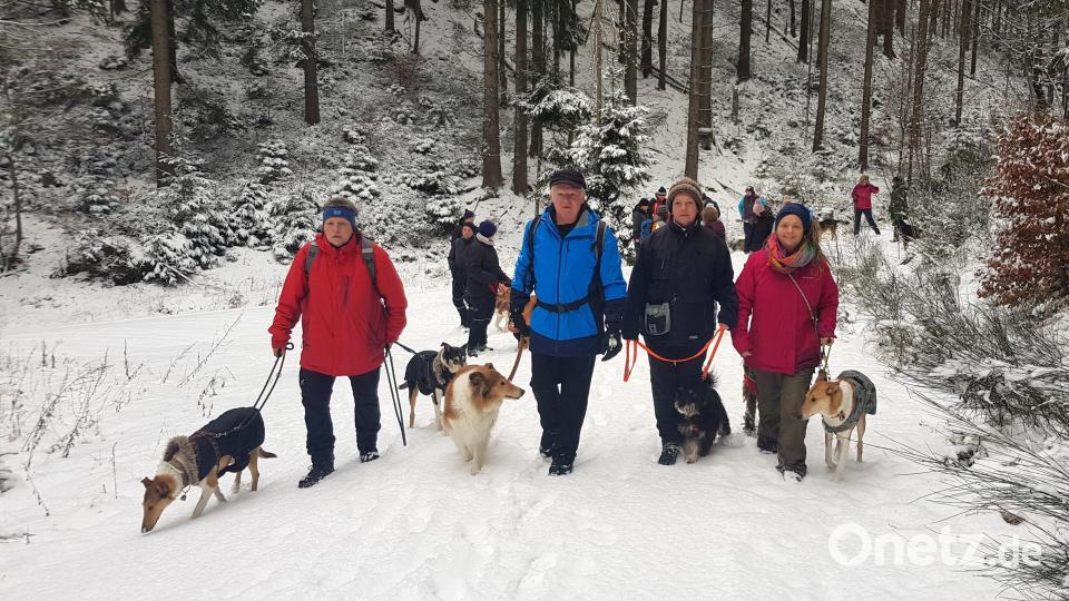 Die Wanderung mit Hunden bei Mehlmeisel kam wieder gut an. Bild: Tourismus & Marketing Ochsenkopf/exb