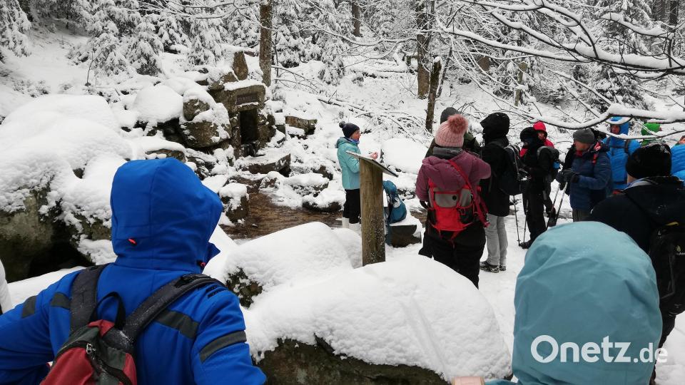 Die Teilnehmer Führung durch den Geopark Bayern-Böhmen zur Weißmainquelle bei Fichtelberg. Bild: Tourismus & Marketing Ochsenkopf/exb