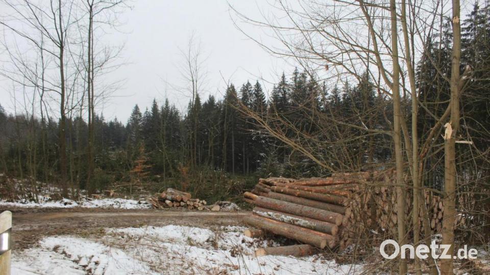An der Straße von Nagel kommend nach Grünlas standen vergangene Woche am Dorfeingang von Grünlas größere Rodungsaktionen im Fichtenwald an. Bild: soj