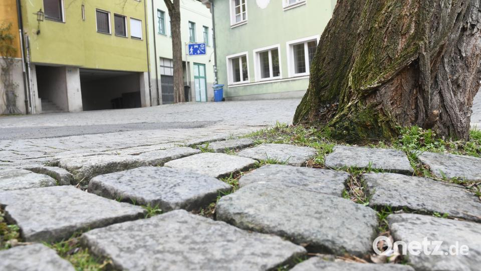 Pfarrplatz Akazie muss fallen Bild: Gabi Schönberger