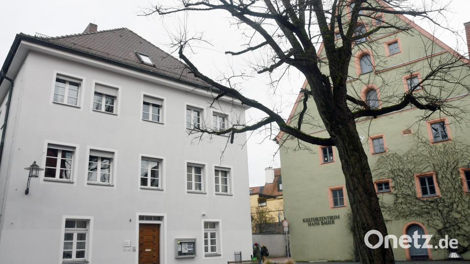 Pfarrplatz Akazie muss fallen Bild: Gabi Schönberger