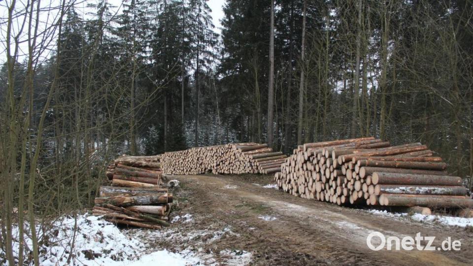 An der Straße von Nagel kommend nach Grünlas standen vergangene Woche am Dorfeingang von Grünlas größere Rodungsaktionen im Fichtenwald an. Bild: soj