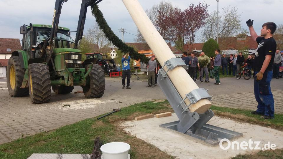 Nicht starke Männer mit Schwalben, sondern der Traktor hebt hier den Baum in die Höhe. Auf die Schwalben-Tradition will in Sulzbach-Rosenberg aber keiner verzichten. Bild: Bidlingmaier Technologie GmbH/exb