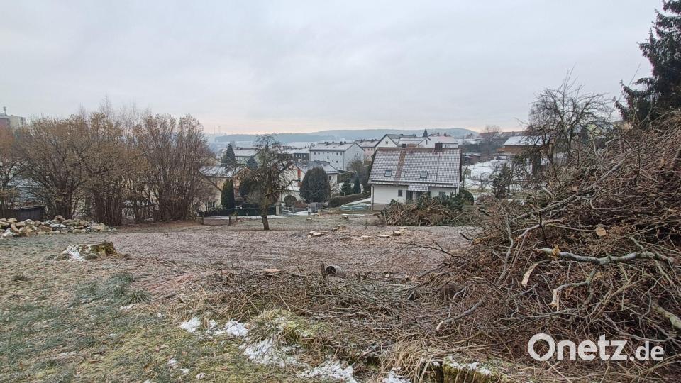 Sieben Flurstücke in den Erbendorfer Badgaßgärten sollen bebaut werden. Bild: fks