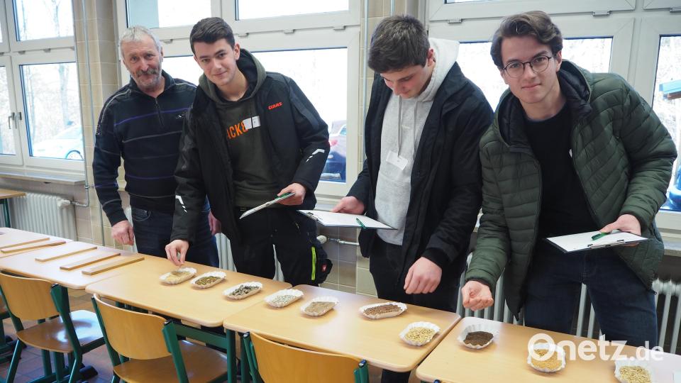Um welches Getreide handelt es sich? Beim Berufswettbewerb der deutschen Landjugend traten zum Kreisentscheid in Neustadt/WN 60 Auszubildende in verschiedenen Sparten an Bild: krb