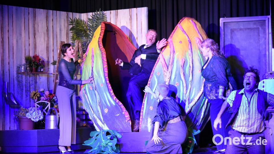 Der blanke Horror: Jetzt hat sich die blutdürstige Pflanze auch Blumenhändler Mushnik (Bernhard Beer) geschnappt. „Ziehsohn“ Seymour Krelborn (Florian Wein, rechts) ist sichtlich geschockt. Und das Premierenpublikum der Ovigo-Inszenierung „Der kleine Horrorladen“ begeistert. Bild: Tobias Schwarzmeier