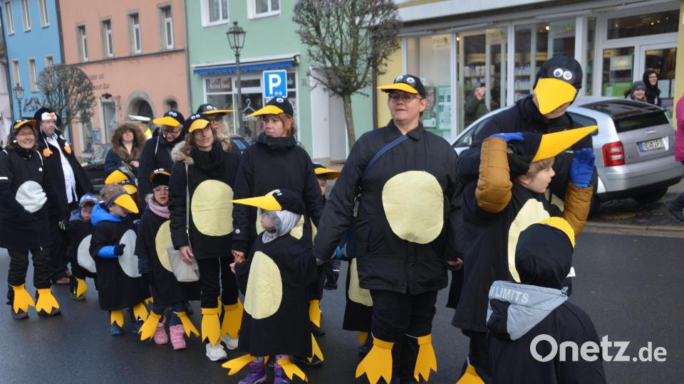 Vom Südpol reisten extra Königspinguine an. Dahinter versteckten sich Kinder der Schulvorbereitenden Einrichtung (SVE) mit ihren Erziehern. Bild: dob
