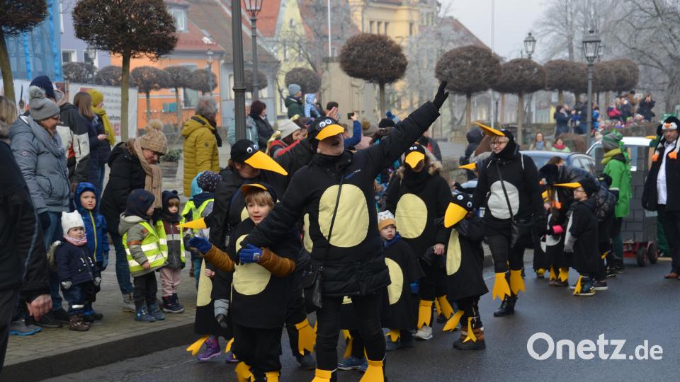 Ein bunter Kindergaudiwurm schlängelte sich am Mittwochvormittag durch die Stadt. Die Zuschauer klatschten begeistert Beifall und erwiderten die &quot;Vohenstrauß Helau&quot;-Rufe der Kinder, die sich in einfallsreichen Kostümierungen präsentierten. Bild: dob