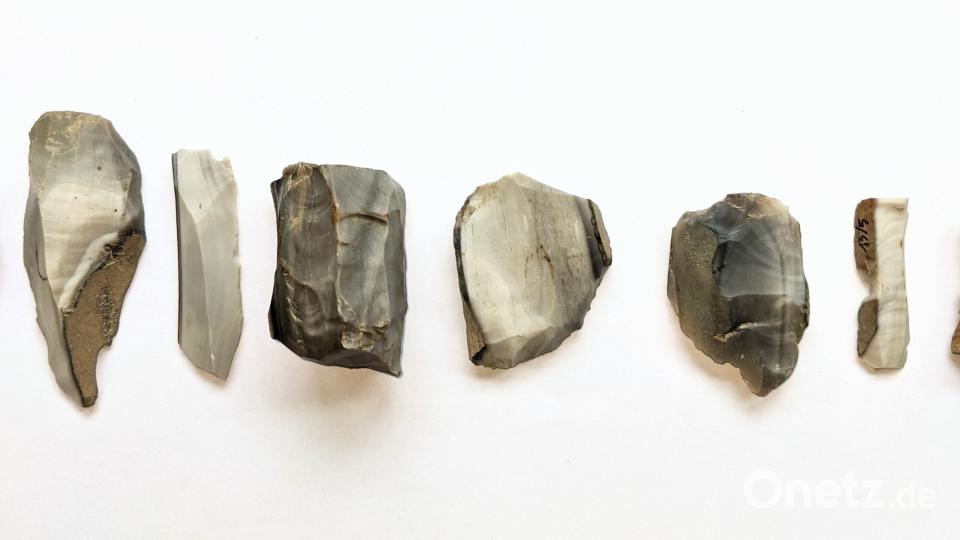 Das sind die Klingen aus Arnhofener Feuerstein, die Dr. Thomas Bäumler auf einem Feld an der Windischeschenbacher Straße Nahe Altenstadt gefunden hat. Bild: Bäumler
