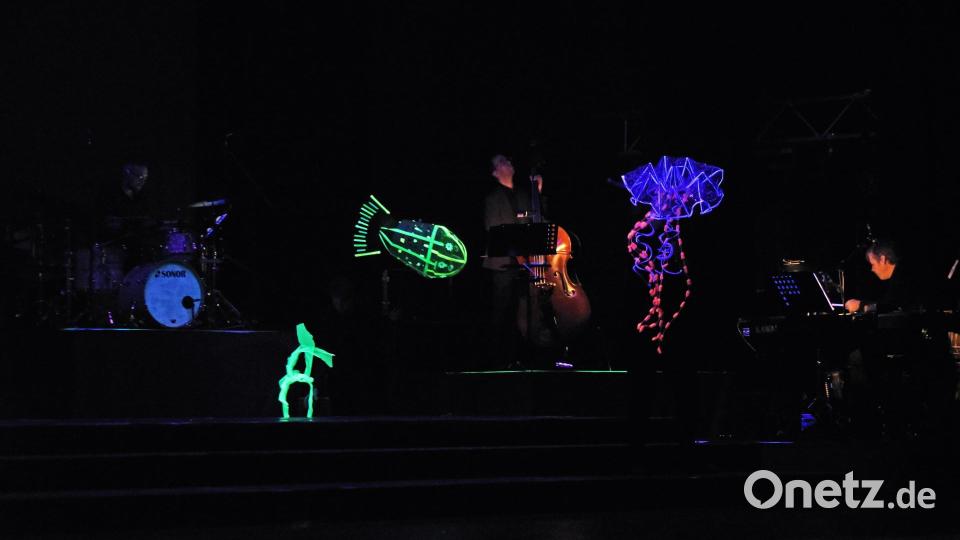 Einer der optischen Höhepunkte des "Karnevals der Tiere" in der Max-Reger-Halle – das „Aquarium“. Archivbild: Tobias Schwarzmeier