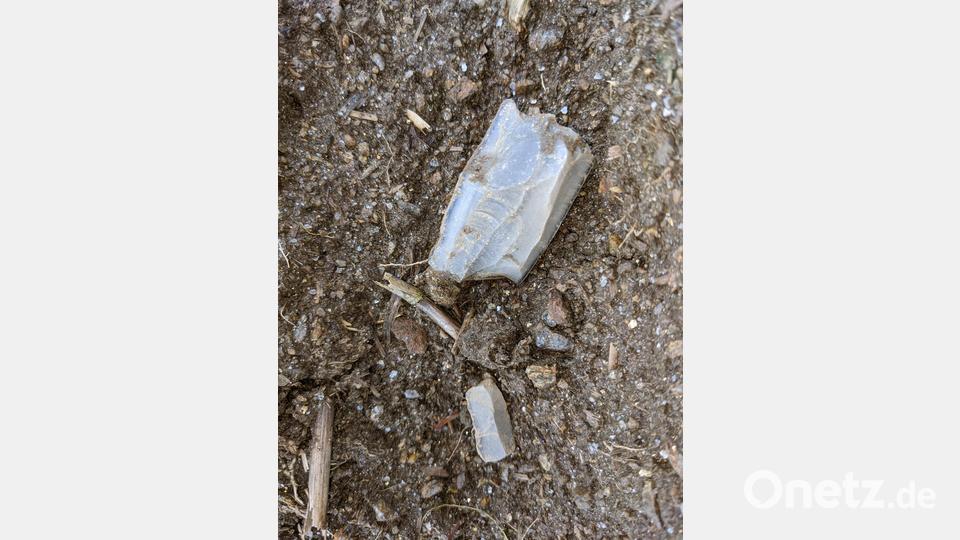 Das sind die Klingen aus Arnhofener Feuerstein, die Dr. Thomas Bäumler auf einem Feld an der Windischeschenbacher Straße Nahe Altenstadt gefunden hat. Bild: Bäumler