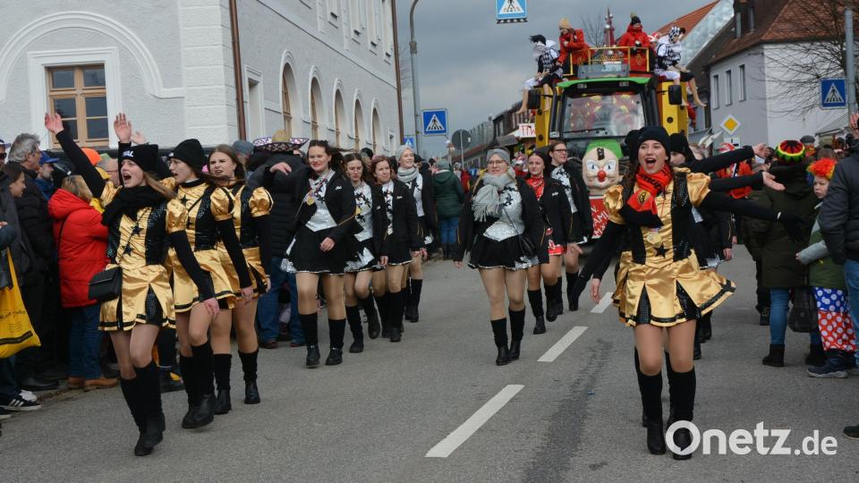 Gardemitglieder und Wagen des Faschingsvereins Rosamunde Mähring. Bild: jr