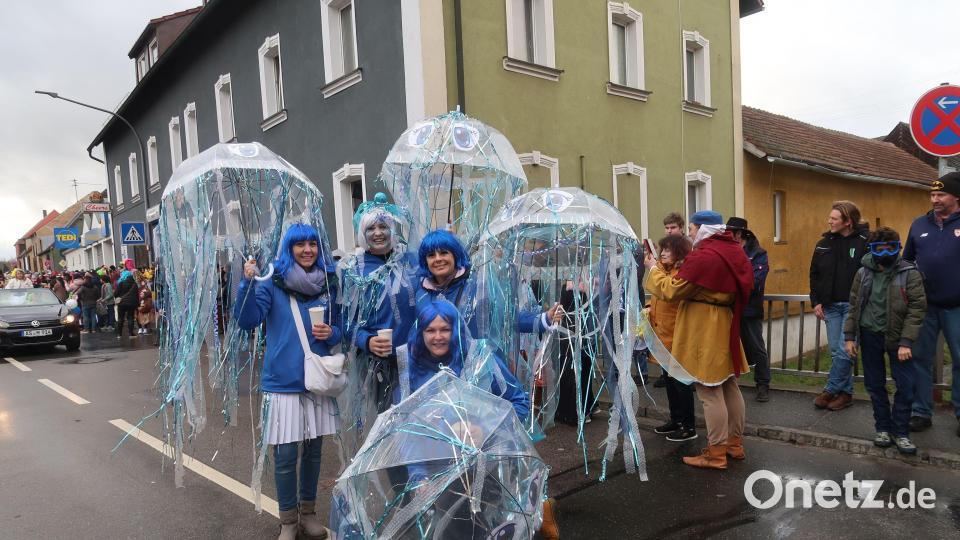 Nach zwei Jahren Zwangspause zog in Vilseck endlich wieder der Faschingszug durch die Stadt. Natürlich waren die Betreuerinnen der Vilsecker Gardemädchen auch dabei. Bild: Rosi Hasenstab