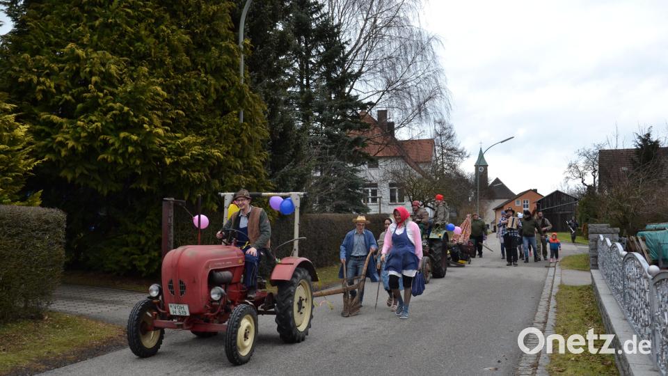 Der Faschingsverein Etzgersrieth ackert mit viel Gaudi und Spaß die „Fosnacht“ aus. Am Pflug stand Michael Steinhilber. Bild: gi