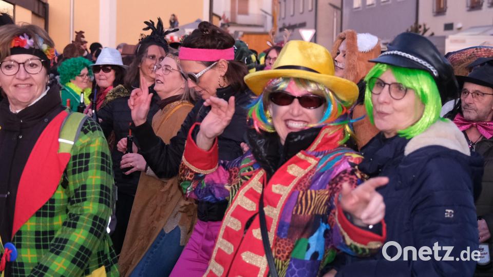 Fröhliche Gäste in farbenprächtigen Kostümen sorgten bei der Rosenmontagsparty für gute Laune. Bild: Hirsch