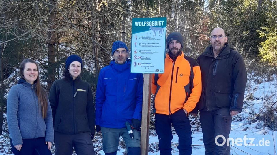 Eine der neuen Infotafeln im Veldensteiner Forst zeigen (von links) Ronja Schlosser (Regierung der Oberpfalz); Julia Dummert (Naturpark Fränkische Schweiz-Frankenjura); Karsten Gees ( Regierung von Oberfranken), Sebastian Bäumler (Bayerische Staatsforsten) und Dirk Pieper (WikiWolves). Bild: Dirk Pieper/WikiWolves/exb